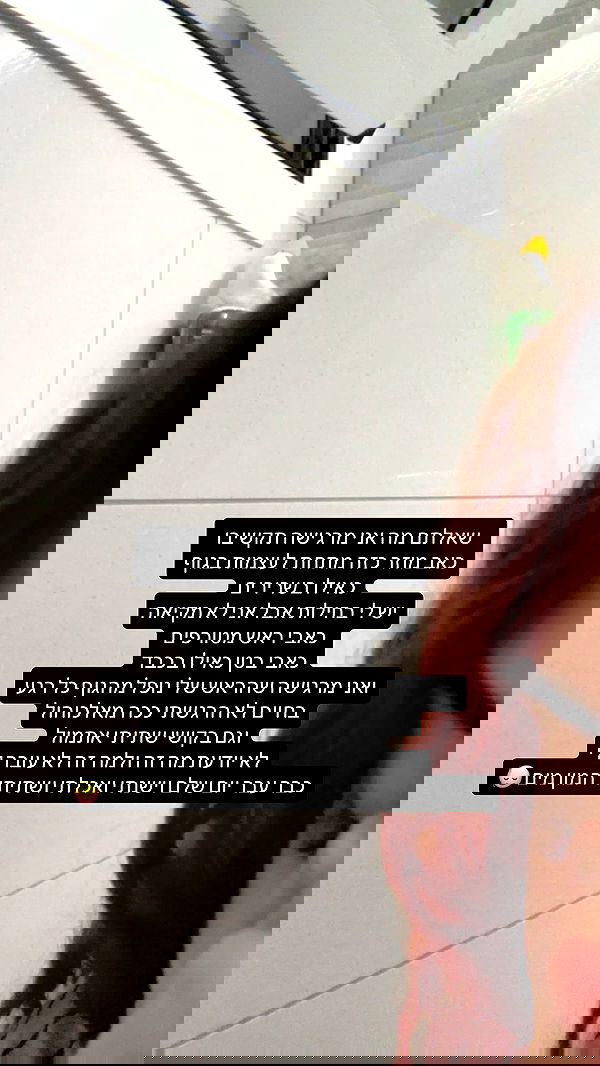 _lil_noa_ _lil_noa_ archive image