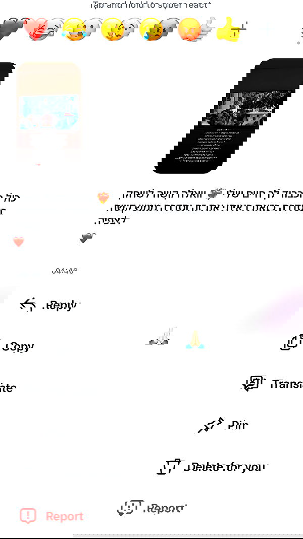 _lil_noa_ _lil_noa_ archive image