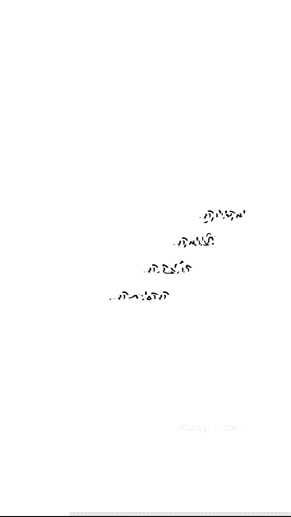 _lil_noa_ _lil_noa_ archive image