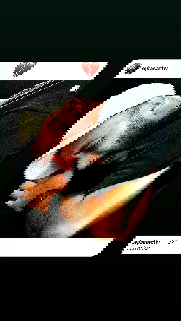 _lil_noa_ _lil_noa_ archive image