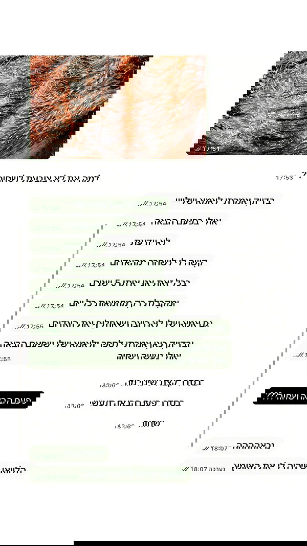 _lil_noa_ _lil_noa_ archive image