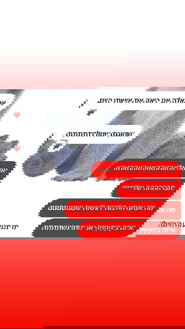 _lil_noa_ _lil_noa_ archive image