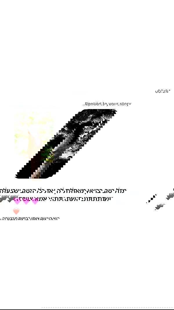 _lil_noa_ _lil_noa_ archive image