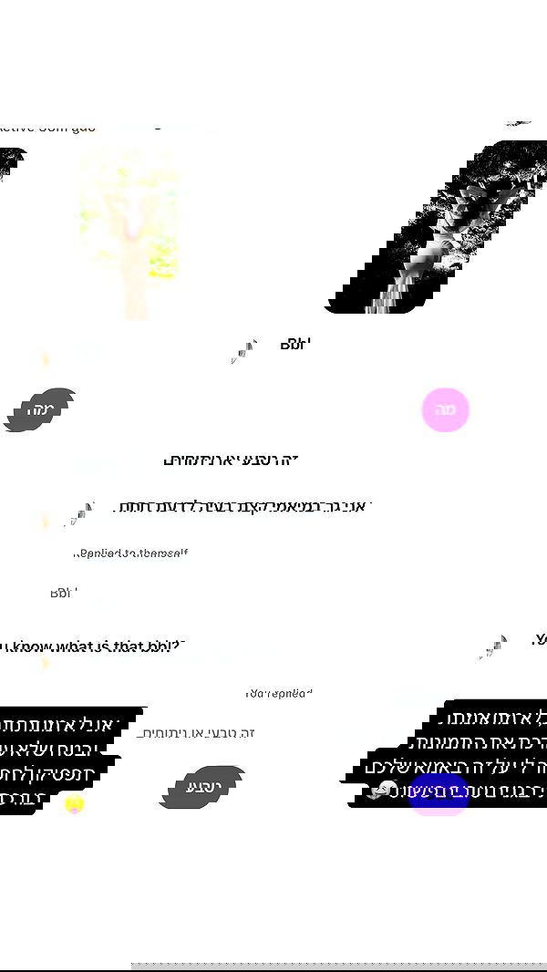 _lil_noa_ _lil_noa_ archive image