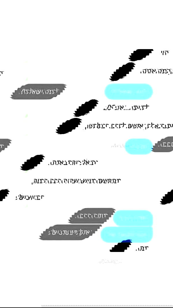 _lil_noa_ _lil_noa_ archive image