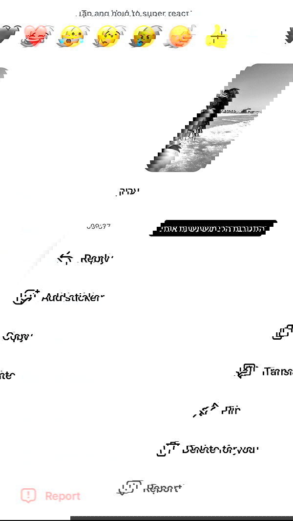 _lil_noa_ _lil_noa_ archive image