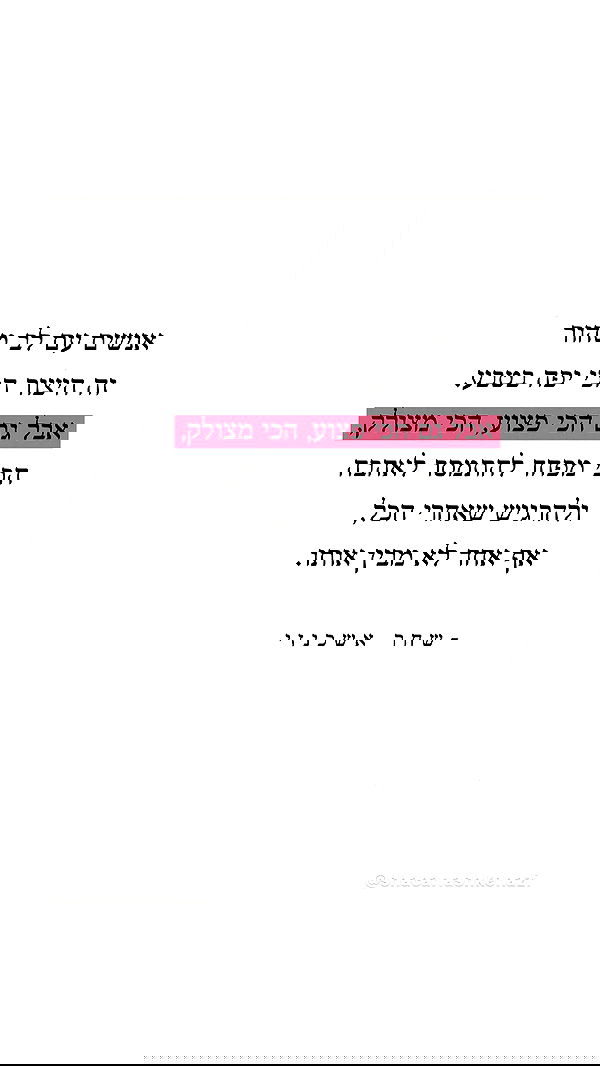 _lil_noa_ _lil_noa_ archive image