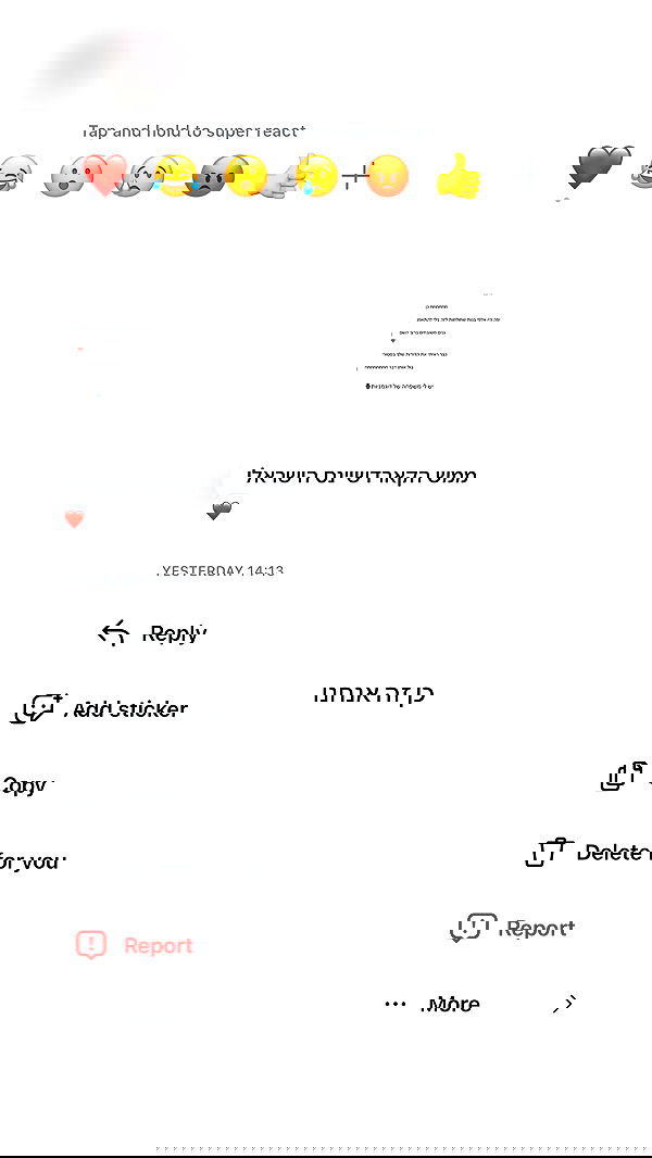 _lil_noa_ _lil_noa_ archive image