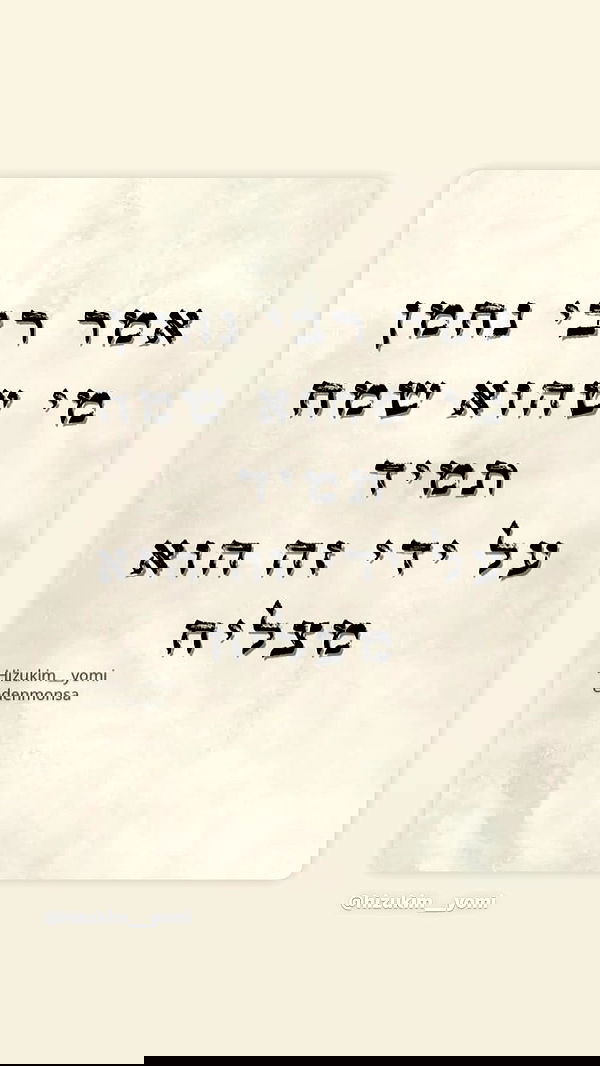 _lil_noa_ _lil_noa_ archive image