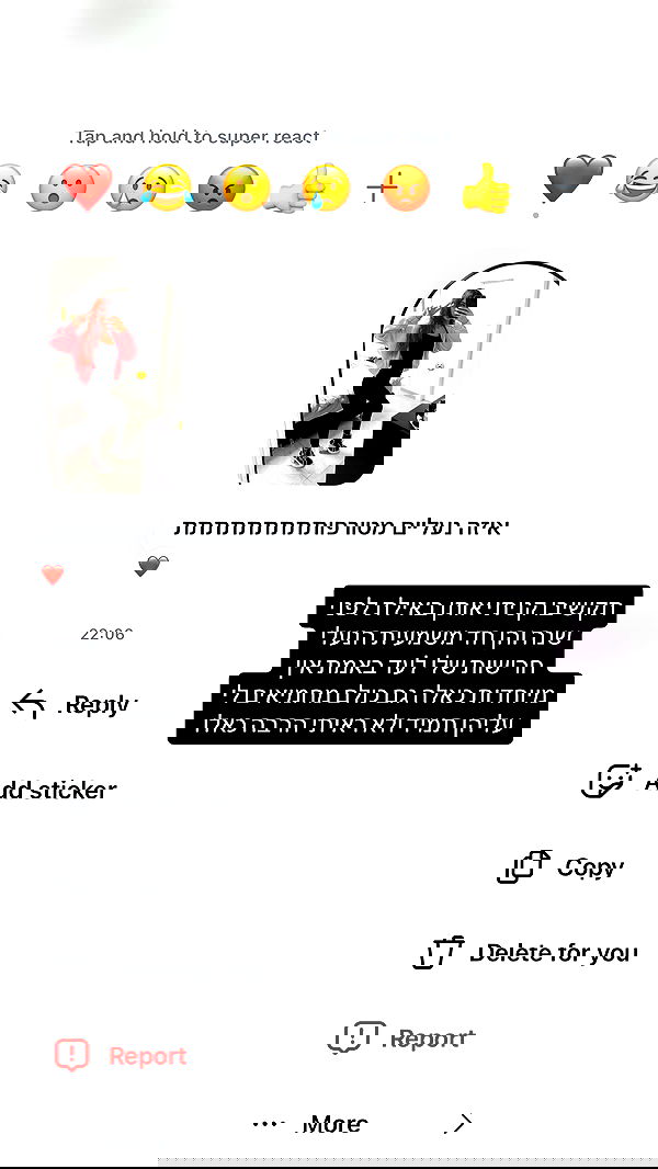 _lil_noa_ _lil_noa_ archive image