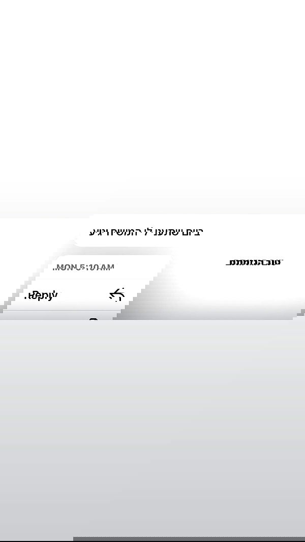 _lil_noa_ _lil_noa_ archive image