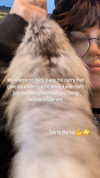 _littlerobin_ Altpins Profile Picture