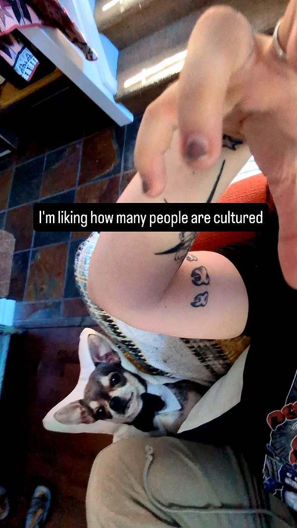 _littlerobin_ instagram image archive image