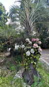 _mashachka_ Altpins Profile Picture