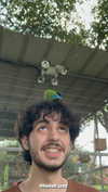 _mashachka_ Altpins Profile Picture