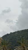 _mashachka_ Altpins Profile Picture