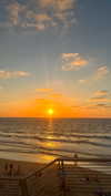 _mashachka_ Altpins Profile Picture