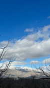 _mashachka_ Altpins Profile Picture