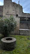 _mashachka_ Altpins Profile Picture