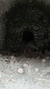 _mashachka_ Altpins Profile Picture