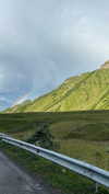 _mashachka_ Altpins Profile Picture