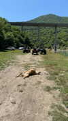 _mashachka_ Altpins Profile Picture