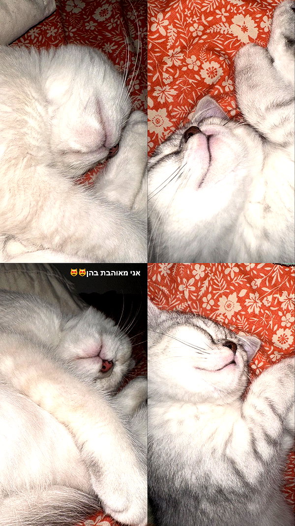 _mashachka_ instagram image archive image