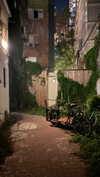 _shaybar._ Altpins Profile Picture