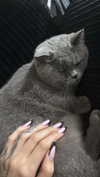 _shaybar._ Altpins Profile Picture