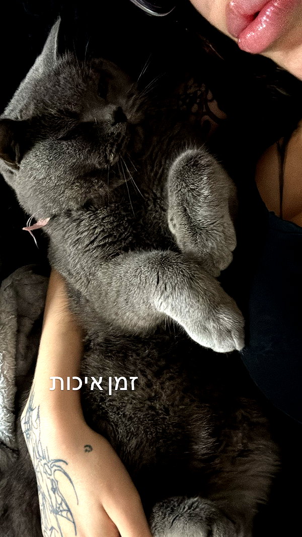 _shaybar._ instagram image archive image