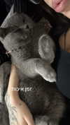 _shaybar._ Altpins Profile Picture