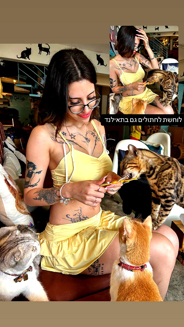 _shaybar._ instagram image archive image