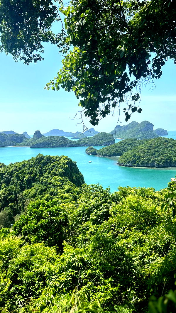 _shaybar._ instagram image archive image