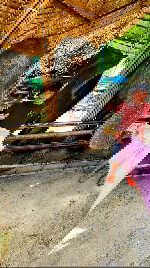 _shirel.dahan_ _shirel.dahan_ archive image