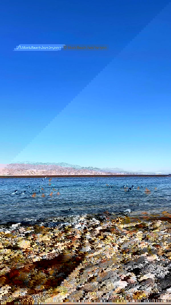 _shirel.dahan_ _shirel.dahan_ archive image