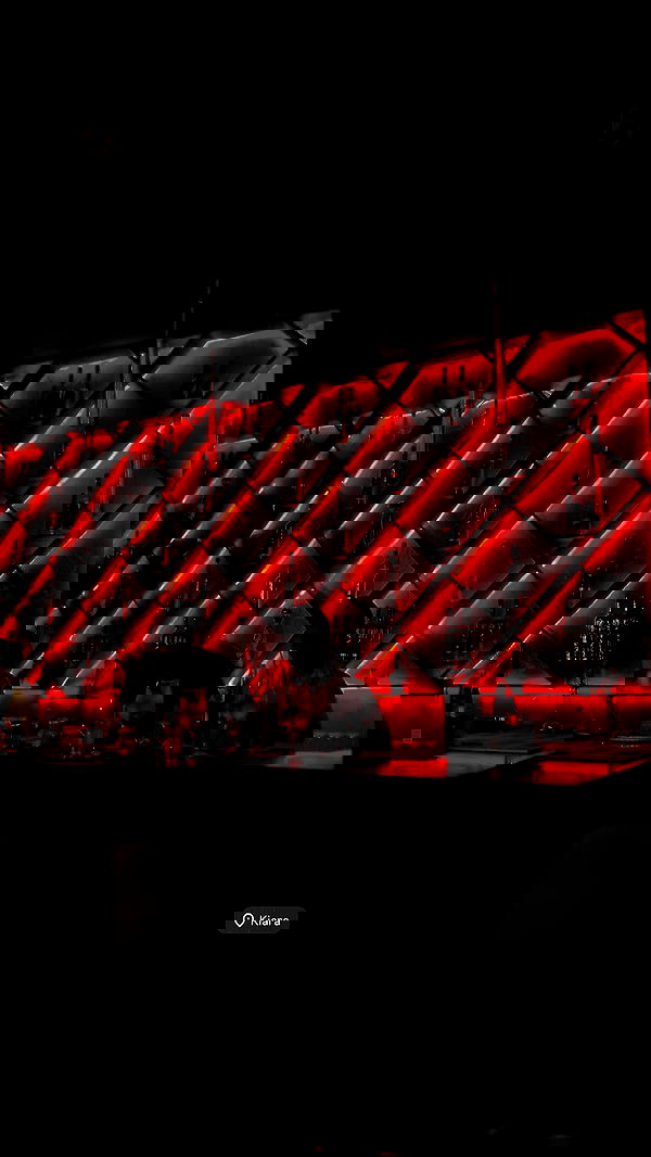 _shirel.dahan_ _shirel.dahan_ archive image