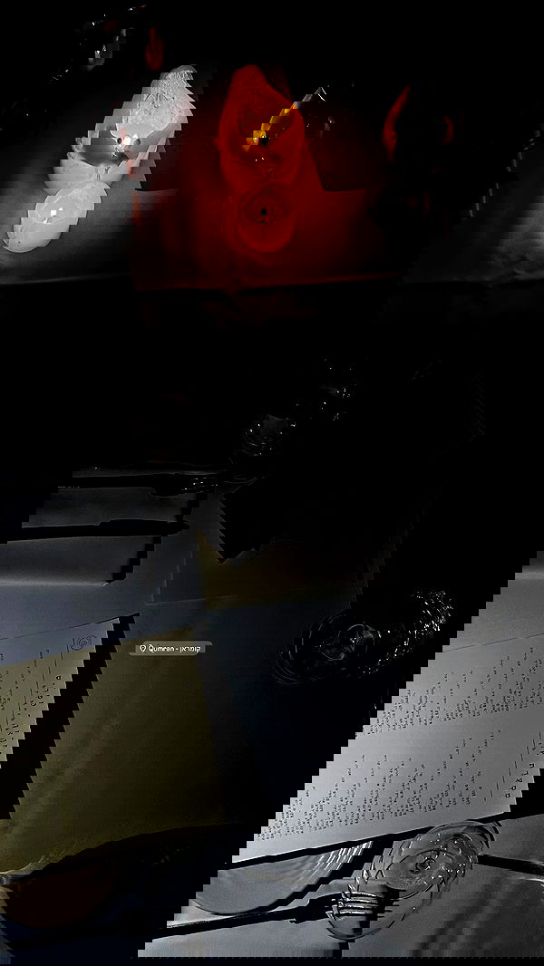 _shirel.dahan_ _shirel.dahan_ archive image