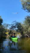 _shirelsegev Altpins Profile Picture