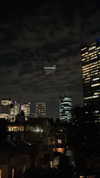 _stella_shani_ Altpins Profile Picture
