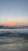 _stella_shani_ Altpins Profile Picture