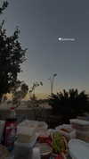 _stella_shani_ Altpins Profile Picture