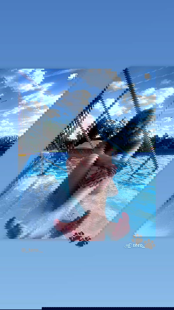 _tero._ image ~ Altpins