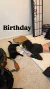 _undeadem_ Altpins Profile Picture
