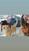 _wayw4rd_ Altpins Profile Picture