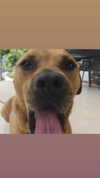 _wayw4rd_ Altpins Profile Picture
