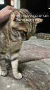 _wayw4rd_ Altpins Profile Picture