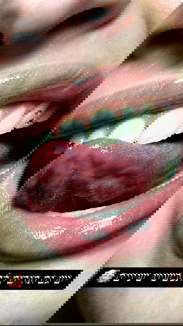 _wizardmidget_ _wizardmidget_ archive image