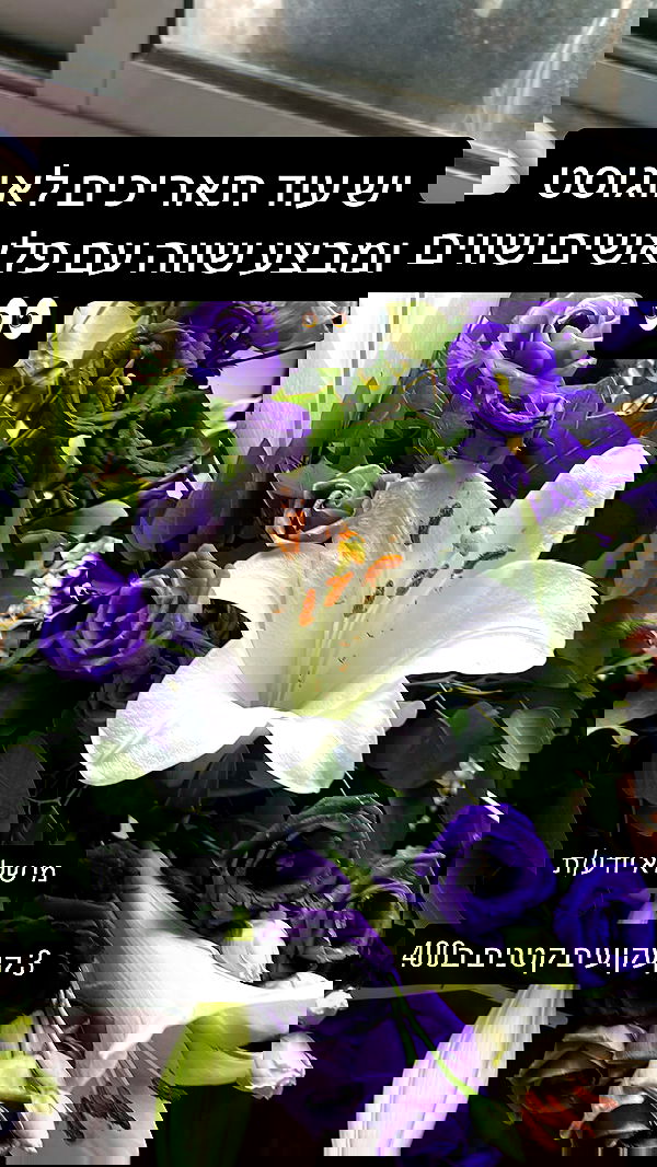 _wizardmidget_ _wizardmidget_ archive image