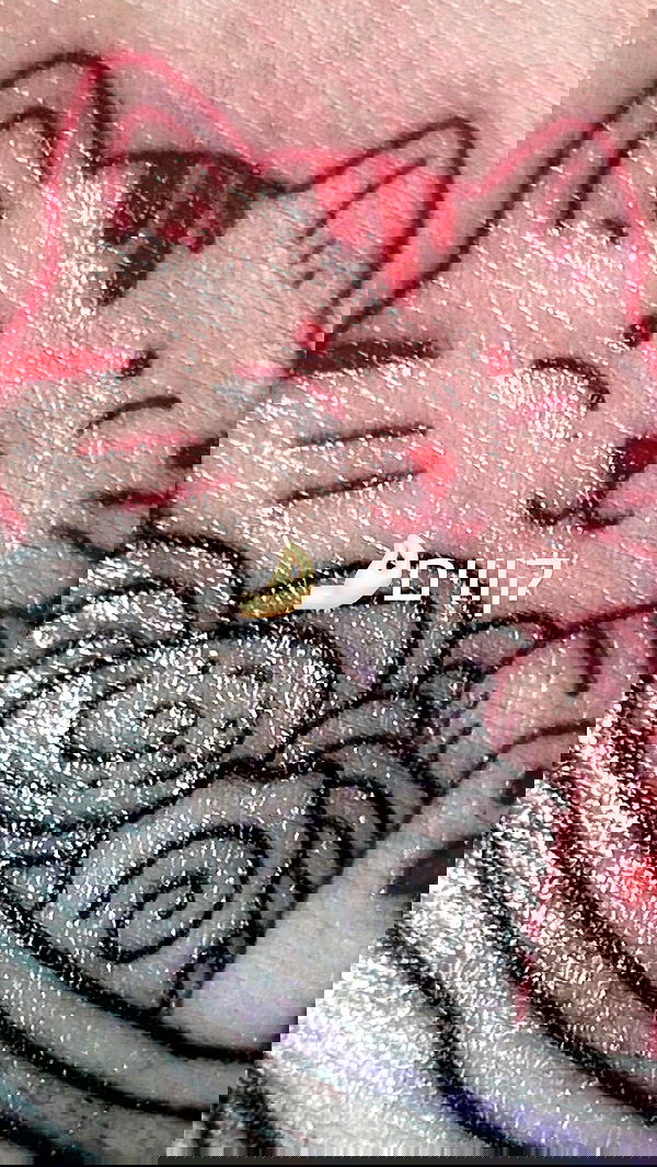 _wizardmidget_ _wizardmidget_ archive image