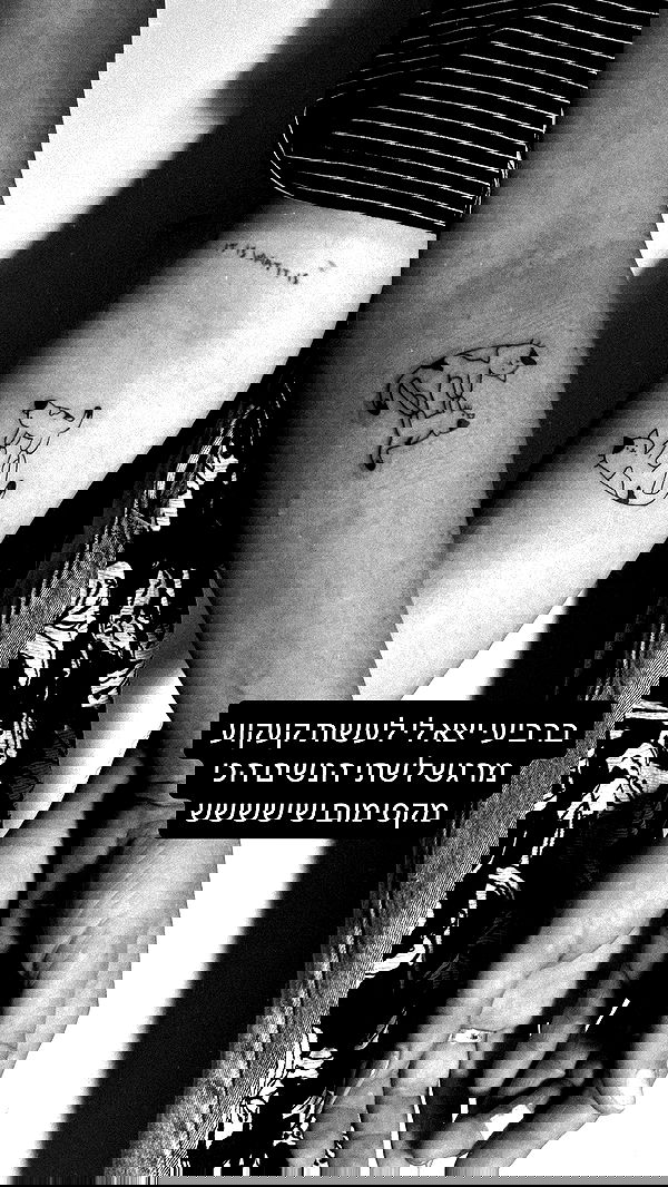 _wizardmidget_ _wizardmidget_ archive image